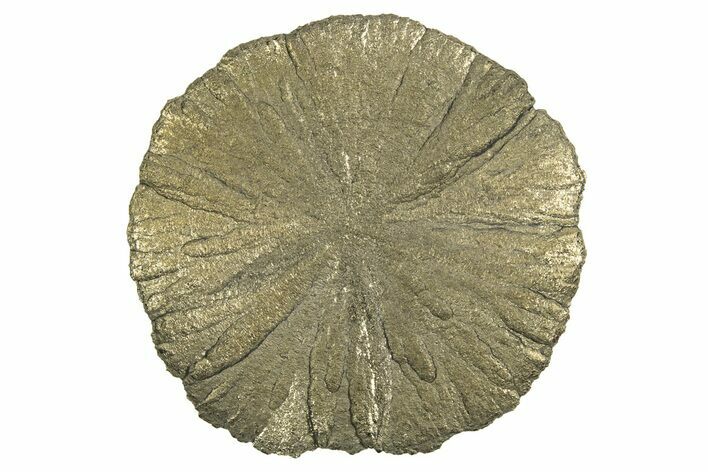 Radiant Pyrite Sun - Sparta, Illinois #342556